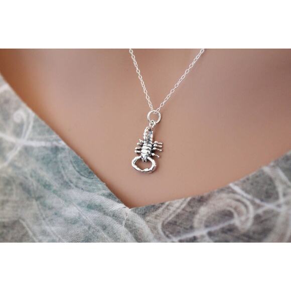 Sterling Silver Scorpion Necklace, Realistic Scorpion Charm Necklace - Picture 1 of 2